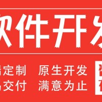 软件开发CRMOA系统定制插件脚本数据分析采集处理可视化定制