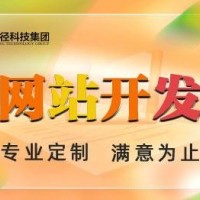 企业网站定制开发H5快速响应式建站VUE后台管理网页详情设计